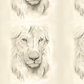 Custom Square Lion Portrait Gray on Cream with Highlights