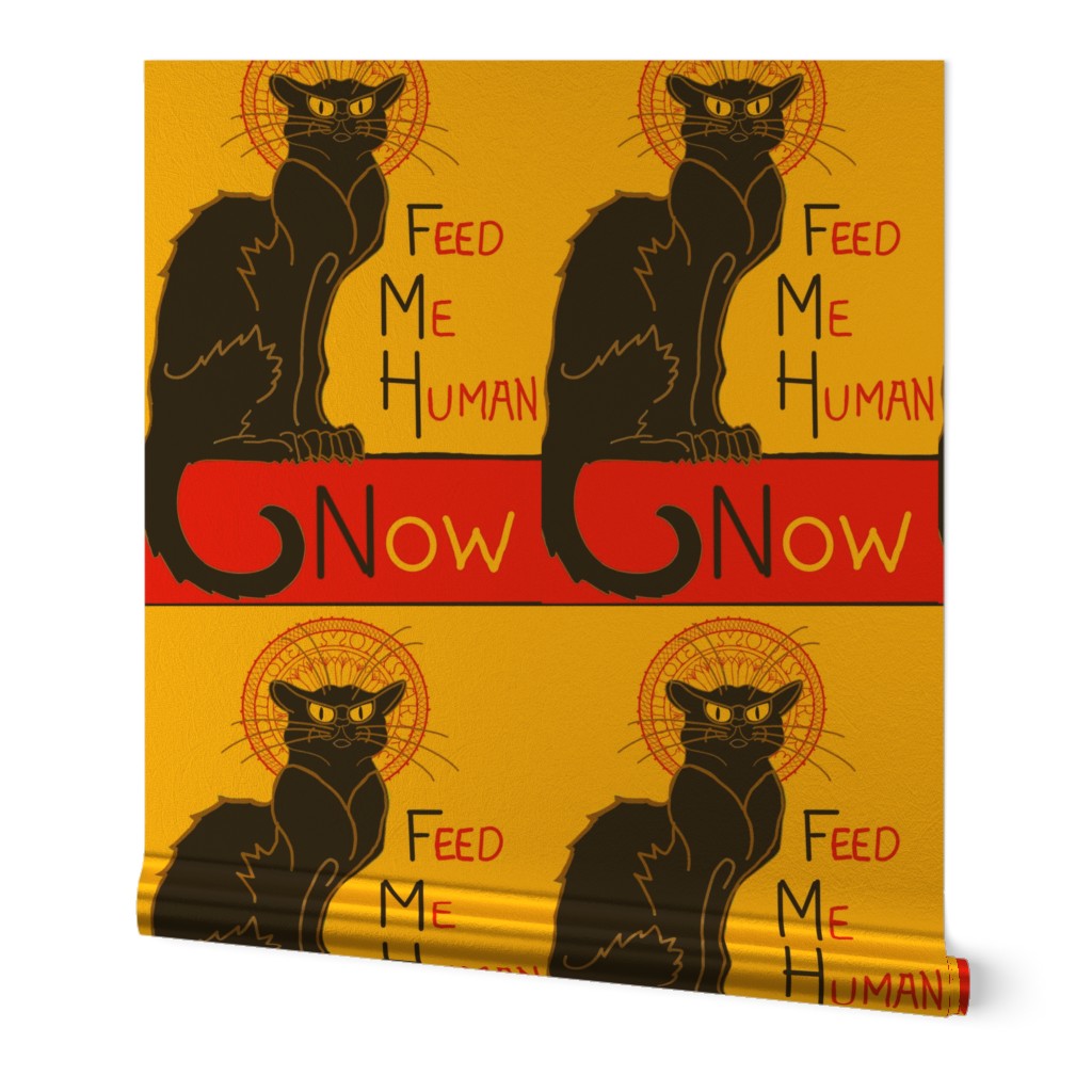 Chat Noir funny feed me now