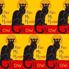 Chat Noir funny feed me now