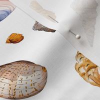 Seashells Watercolour Pattern