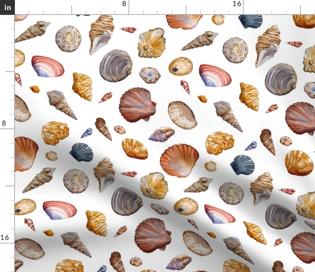 Seashells Watercolour Pattern