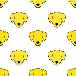 Yellow dogs