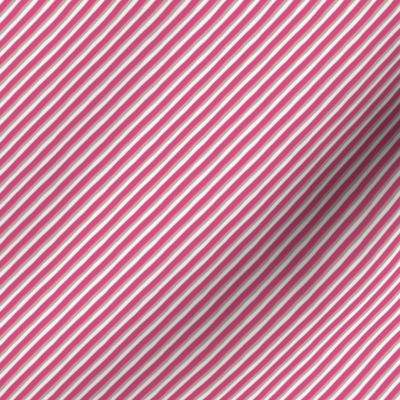 Pink Diagonal Stripes / Tiny Scale