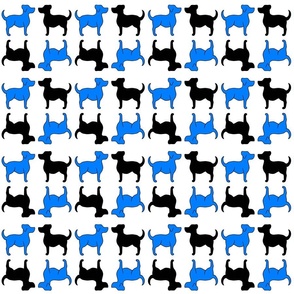 Dogs black and blue