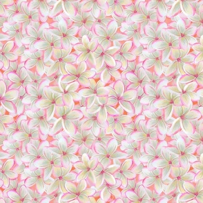 Frangipanipink floral