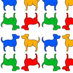 Colorful dogs