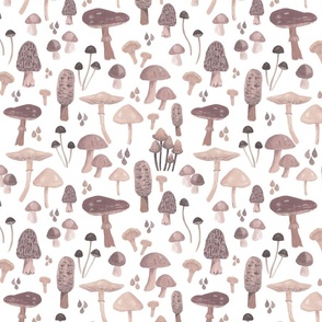 Mushrooms in soft brown, small size