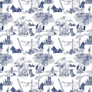 SCOTTIE Toile Regular Blue