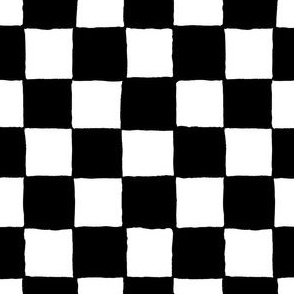 Black and white painted check