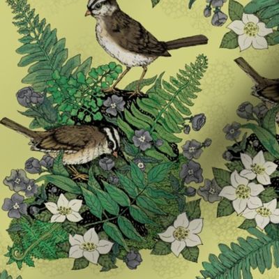 Backyard Birds And Ferns On Yellow