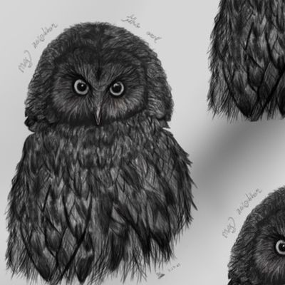 Owl feather giant eyes print.