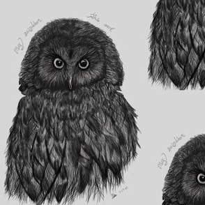 Owl feather giant eyes print.