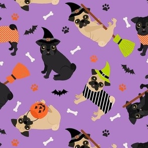 Pug Halloween Purple