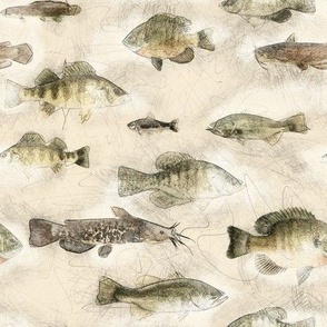 Sketchy River Fish
