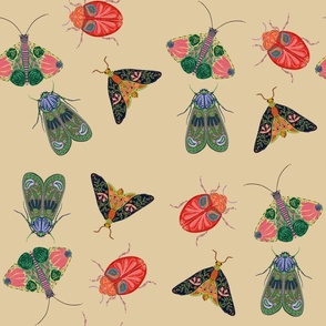 Colorful insects