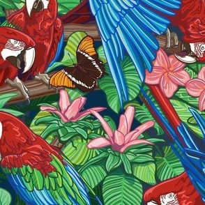 Scarlet Macaw Tropical Petal Coordinate Med/Large