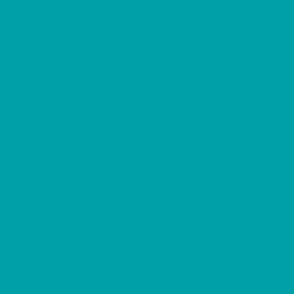 SOLID-other sea teal green 009DA7