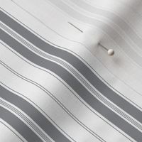 Chiseled Stone  and White Autumn Winter 2022 2023 Color Trend Mattress Ticking