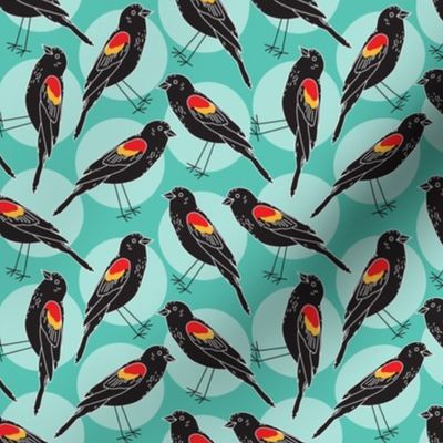 red winged blackbirds
