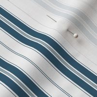 Midnight and White Autumn Winter 2022 2023 Color Trend Mattress Ticking