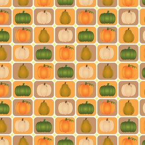 pumpkins autumn square white background small