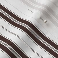 Chicory Coffee Brown and White Autumn Winter 2022 2023 Color Trend Mattress Ticking