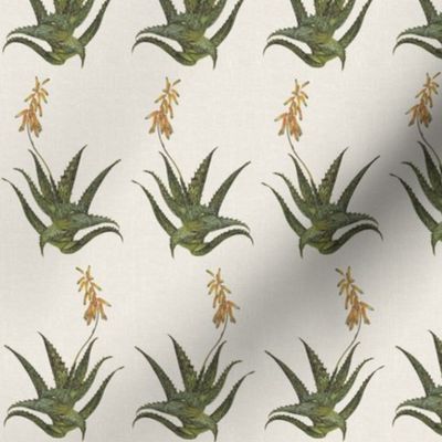 BLOOMING ALOE VERA - SMALL SCALE, VINTAGE MUTED COLORS