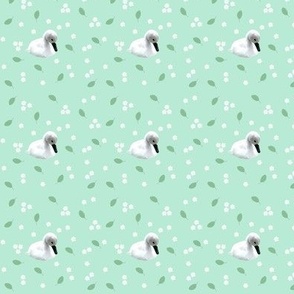 Tiny swans on mint green