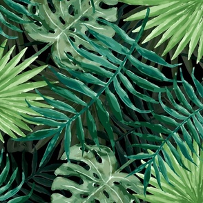 Large Dark Green Fern Palm and Monstera Tropical Plants