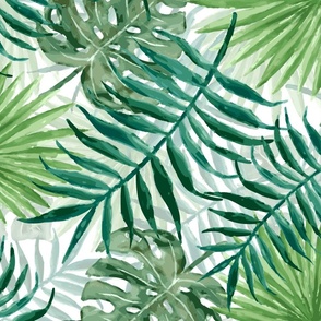 Large Green Fern Palm and Monstera Tropical Plants