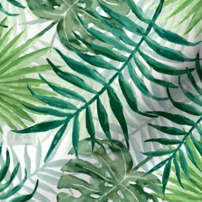 Green Fern Palm and Monstera Tropical Plants