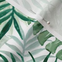 Green Fern Palm and Monstera Tropical Plants