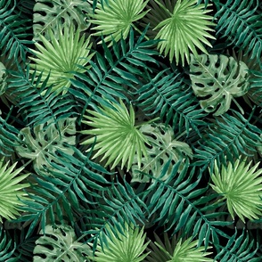 Dark Green Fern Palm and Monstera Tropical Plants