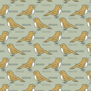 Birds watching pattern.