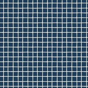 Hand Drawn Grid Pattern in Navy Blue 6x6