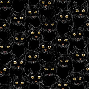 Black Cat Portraits - Large