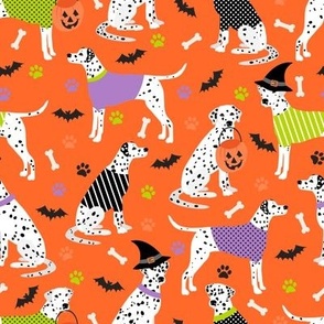 Halloween Dalmation Orange