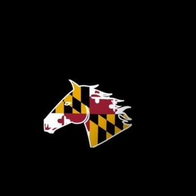 Horse head with Maryland Flag on black background