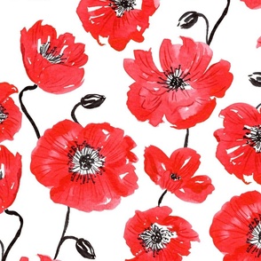Watercolor Poppies Floral