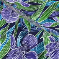 Iridescent Irises - large