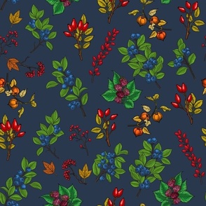 Autumn berries on navy