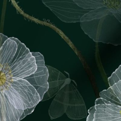 Ethereal Poppies- XXL for Home Decor