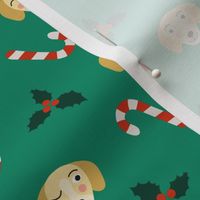 Dachshund dog Christmas mistletoe candy