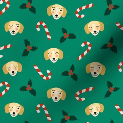 Dachshund dog Christmas mistletoe candy
