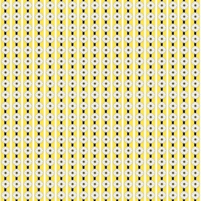 Yellow, white, black daisy chain, Daisy dot coordinate