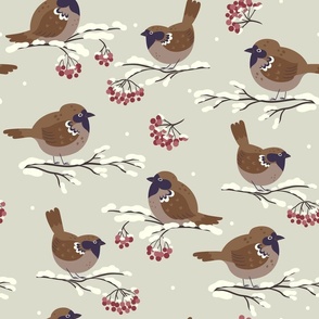 Winter Sparrow Birds on Snowy Branches with Christmas Red Berry Bunches
