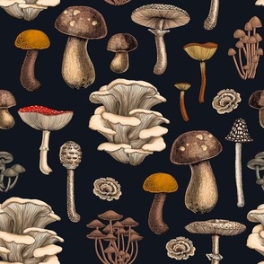 Wild Mushrooms  on graphite black