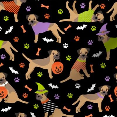 Halloween Border Terrier Black