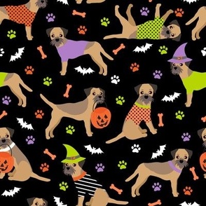 Halloween Border Terrier Black
