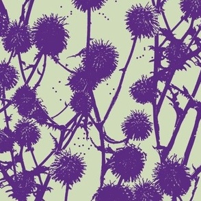 Violet herbs 